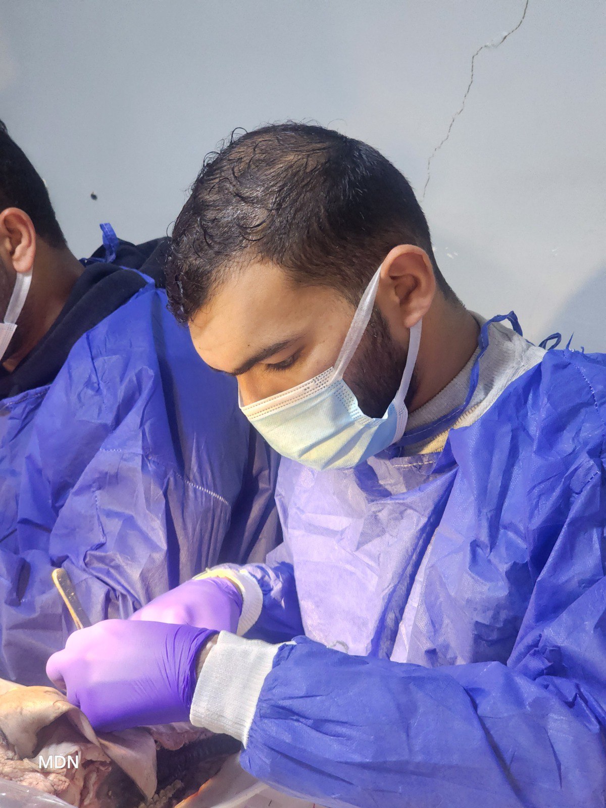 دكتور مروان عبدالكريم أثناء الكشف الطبي